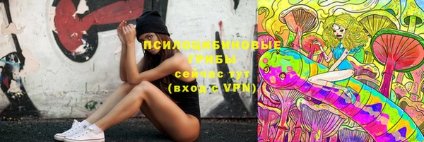 гашик Абинск