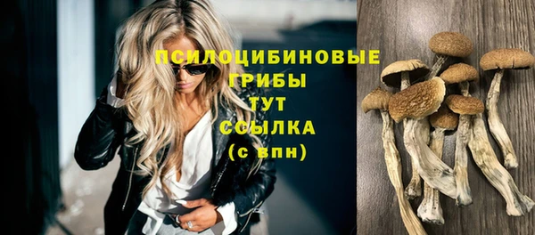 гашик Абинск