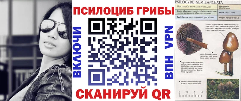 Псилоцибиновые грибы прущие грибы  Архангельск 