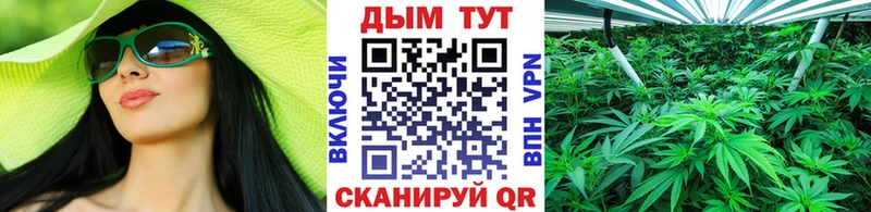 Бошки марихуана Ganja  Архангельск 